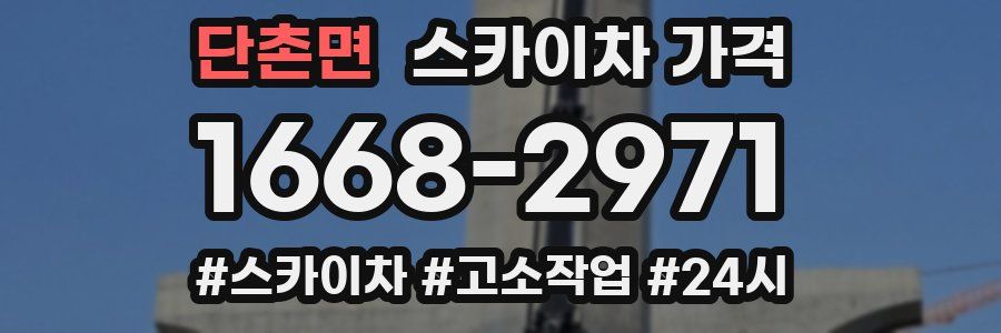 단촌면 스카이차 가격