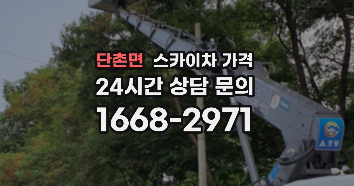 단촌면 스카이차 가격