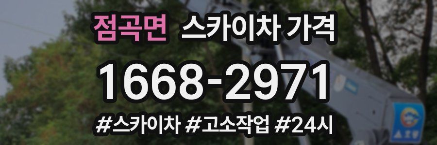 점곡면 스카이차 가격