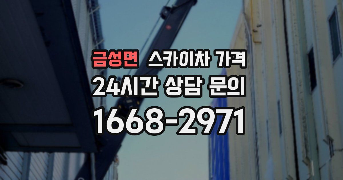 금성면 스카이차 가격