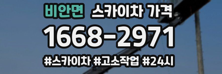 비안면 스카이차 가격