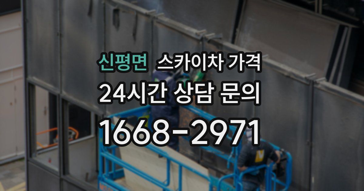 신평면 스카이차 가격