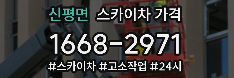 신평면 스카이차 가격