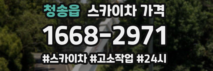 청송읍 스카이차 가격