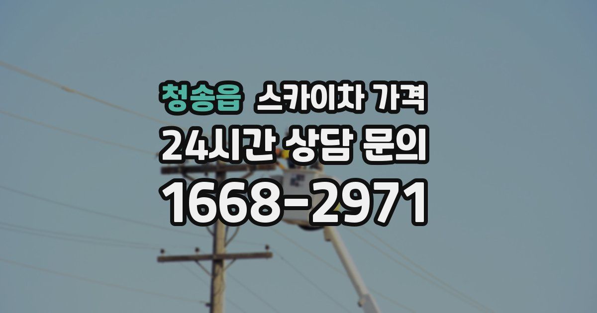 청송읍 스카이차 가격