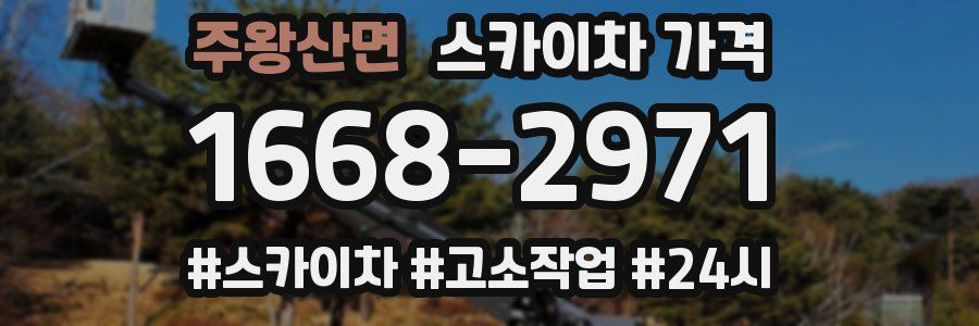 주왕산면 스카이차 가격