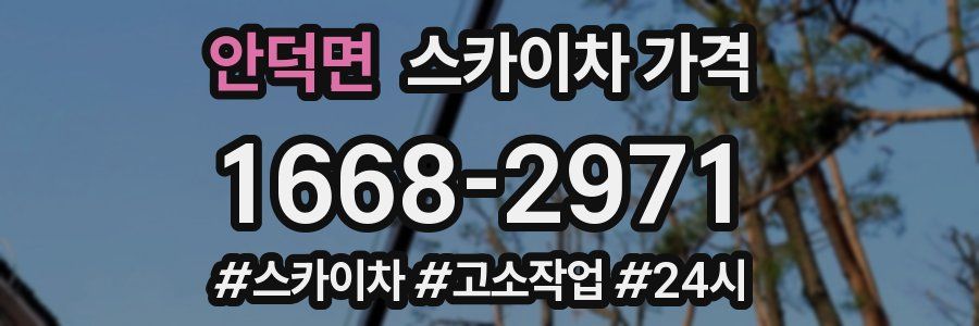 안덕면 스카이차 가격