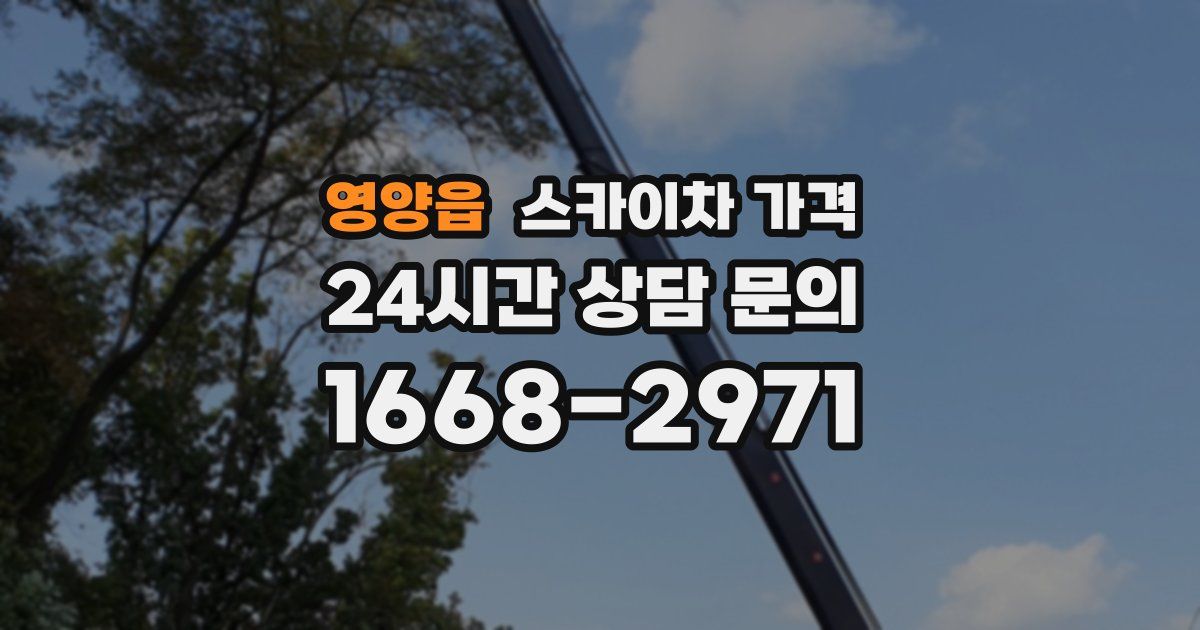 영양읍 스카이차 가격