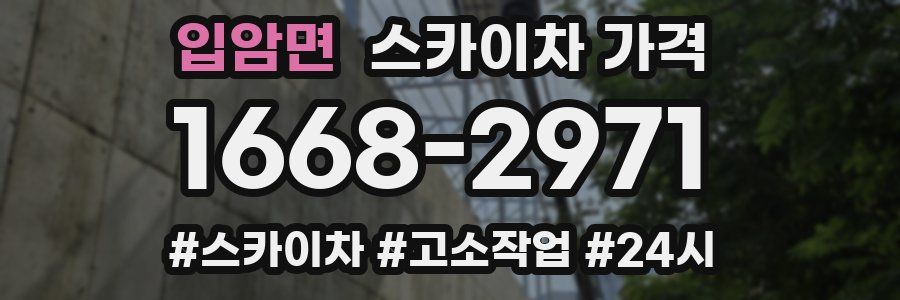 입암면 스카이차 가격