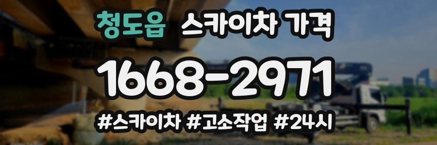 청도읍 스카이차 가격