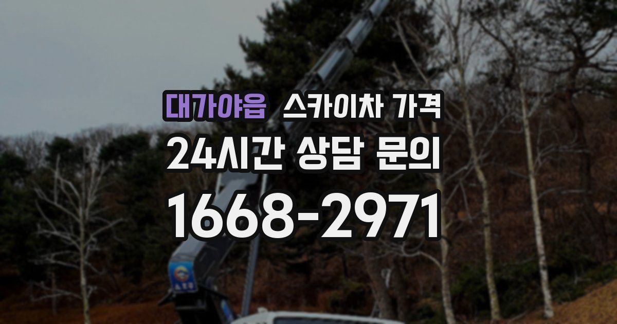 대가야읍 스카이차 가격