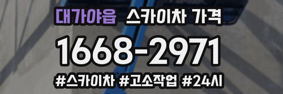 대가야읍 스카이차 가격