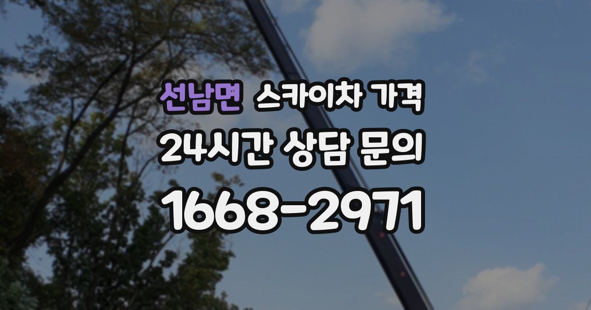 선남면 스카이차 가격