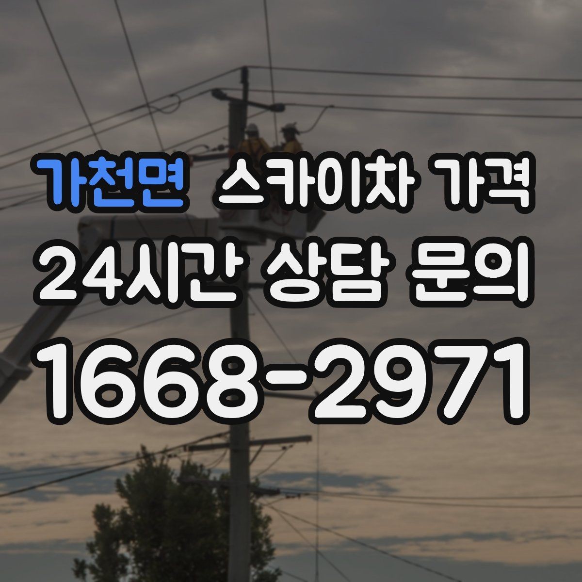 가천면 스카이차 가격 가지치기 작업은 바람이 변수인 이유