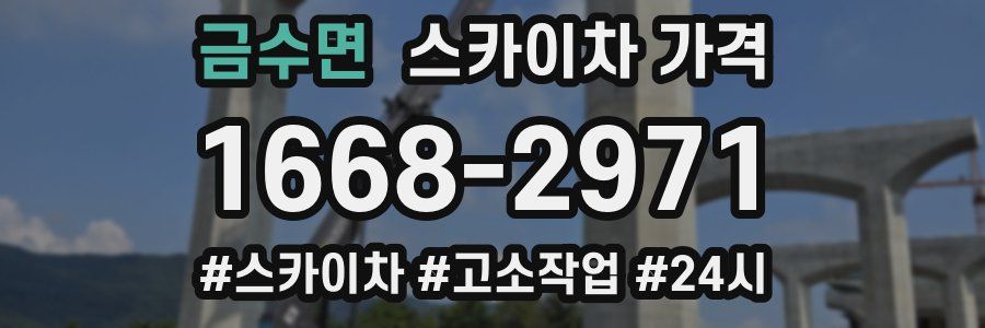 금수면 스카이차 가격