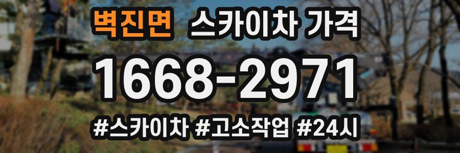 벽진면 스카이차 가격