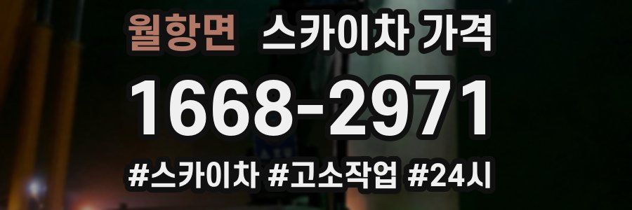 월항면 스카이차 가격