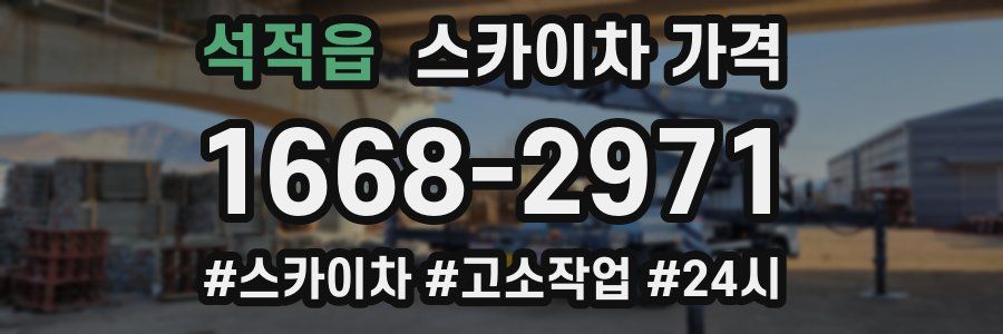 석적읍 스카이차 가격