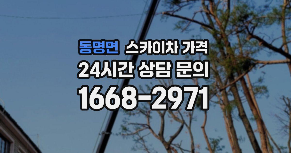 동명면 스카이차 가격