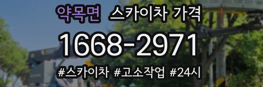 약목면 스카이차 가격