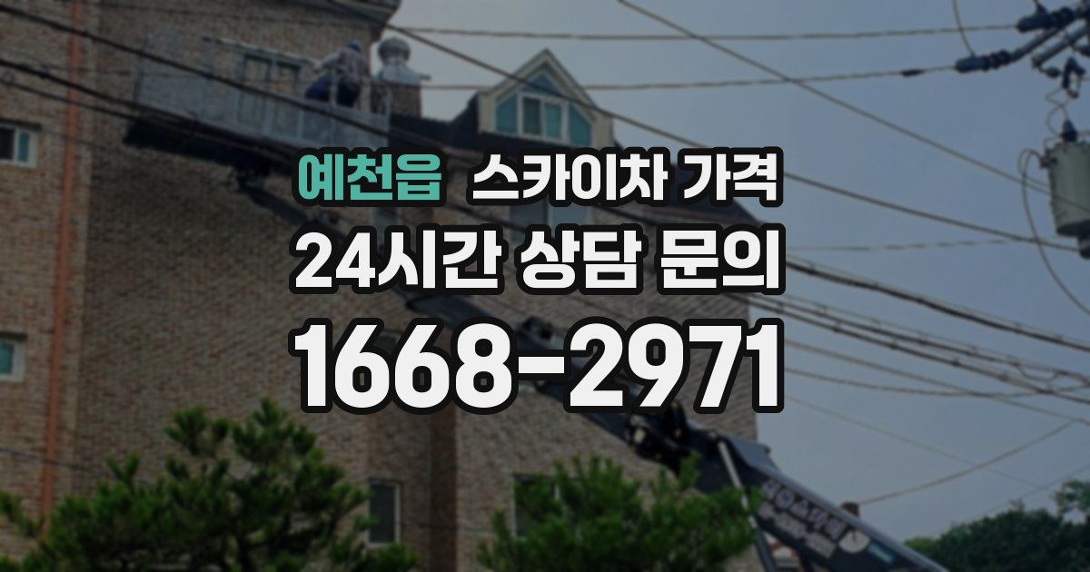 예천읍 스카이차 가격