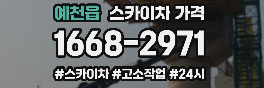 예천읍 스카이차 가격