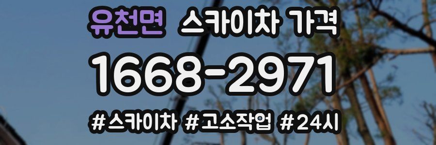 유천면 스카이차 가격