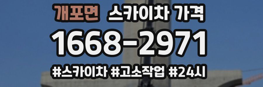 개포면 스카이차 가격