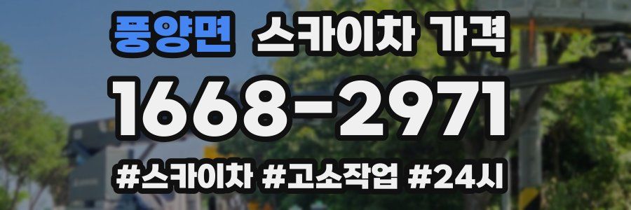 풍양면 스카이차 가격