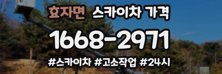 효자면 스카이차 가격