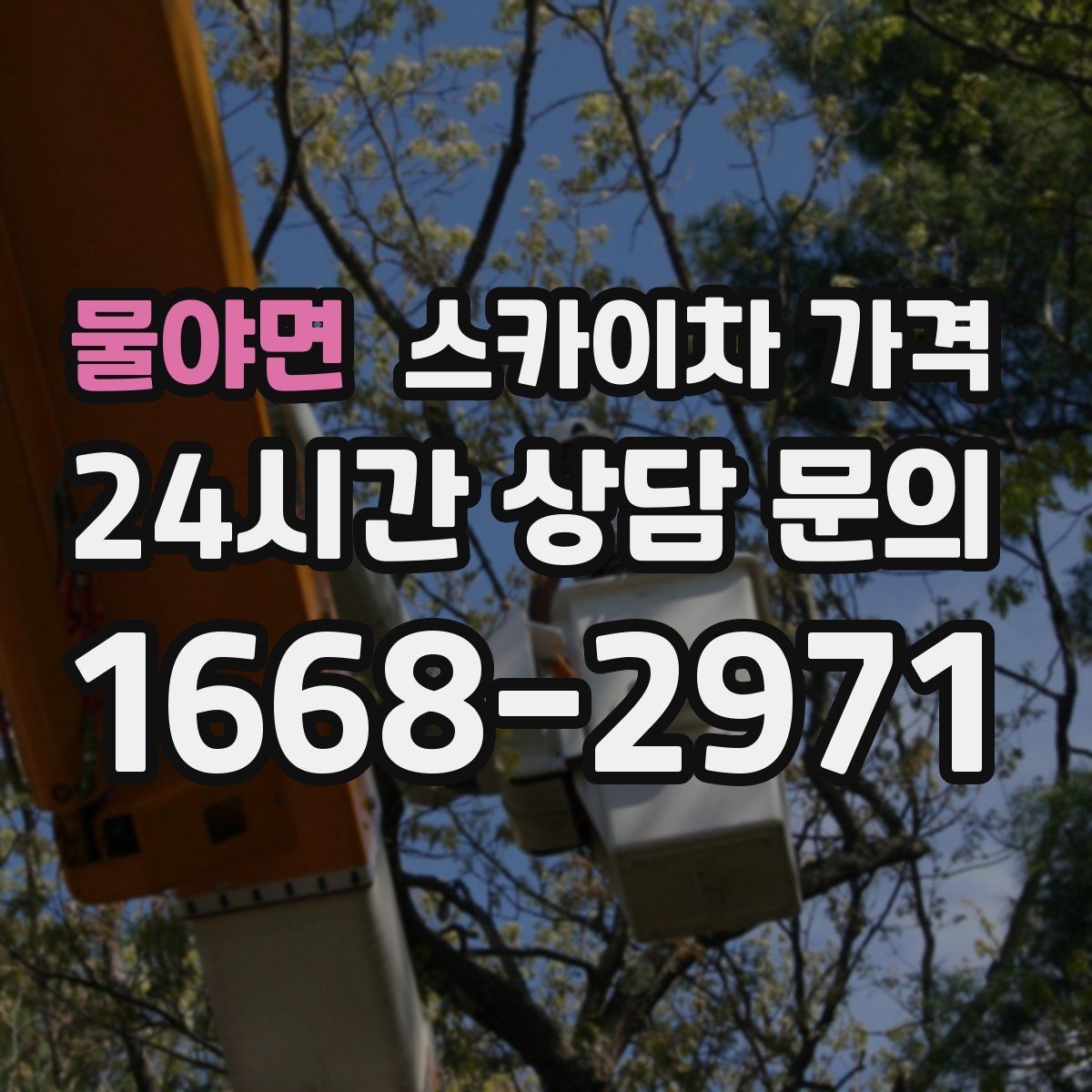 물야면 스카이차 가격 비용보다 안전이 먼저인 이유 정리