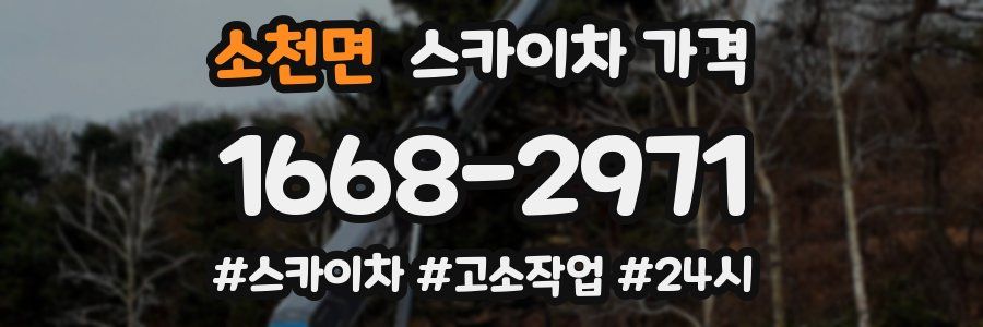 소천면 스카이차 가격