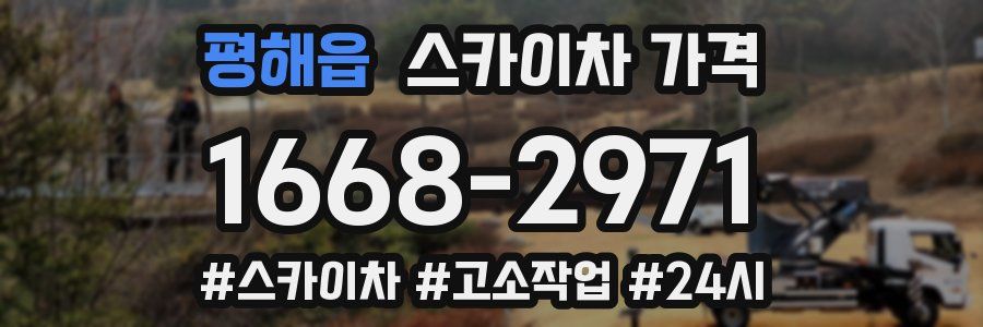 평해읍 스카이차 가격