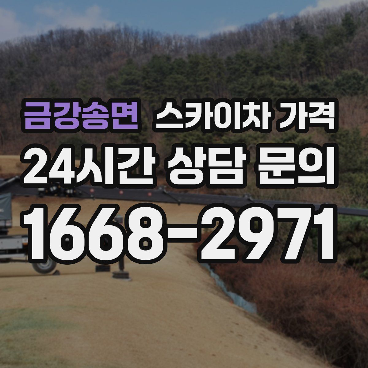 금강송면 스카이차 가격