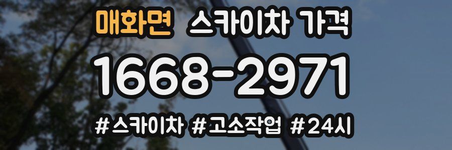 매화면 스카이차 가격