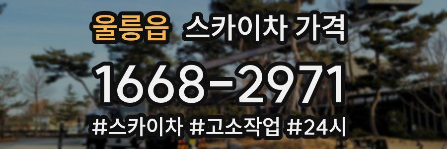 울릉읍 스카이차 가격