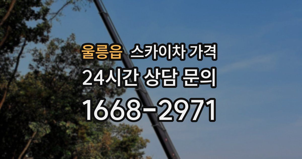 울릉읍 스카이차 가격