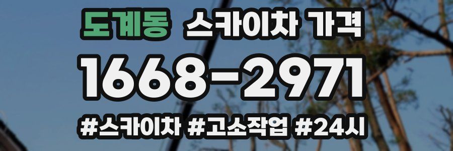 도계동 스카이차 가격