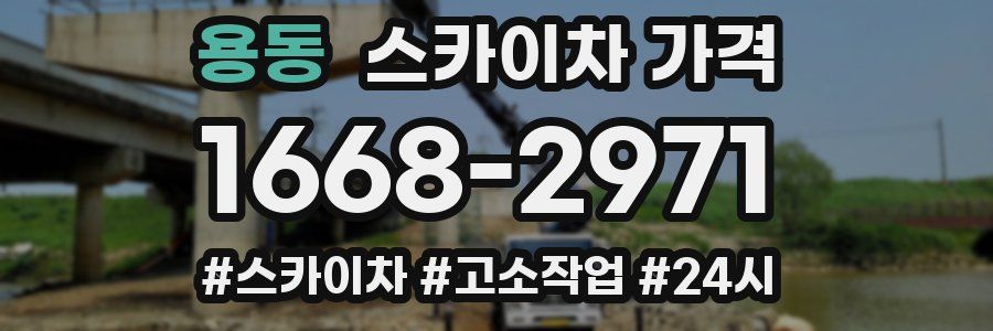 용동 스카이차 가격