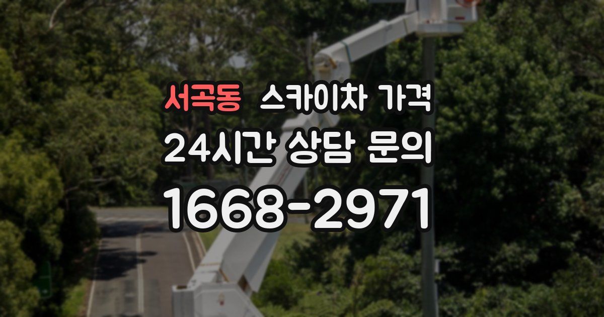 서곡동 스카이차 가격