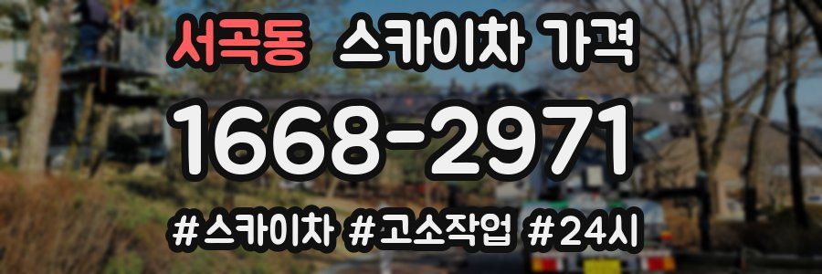서곡동 스카이차 가격