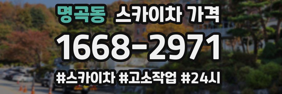 명곡동 스카이차 가격