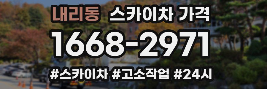 내리동 스카이차 가격