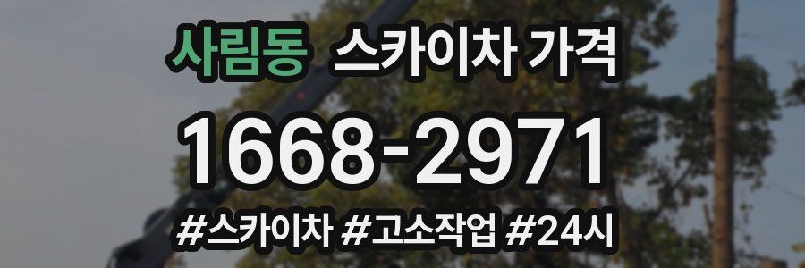 사림동 스카이차 가격