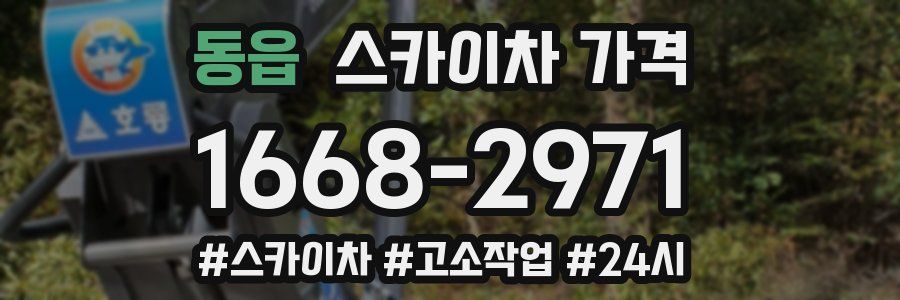 동읍 스카이차 가격