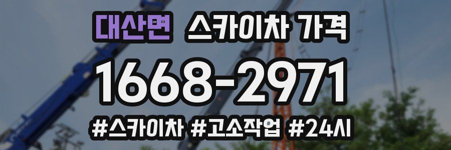 대산면 스카이차 가격