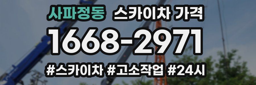 사파정동 스카이차 가격