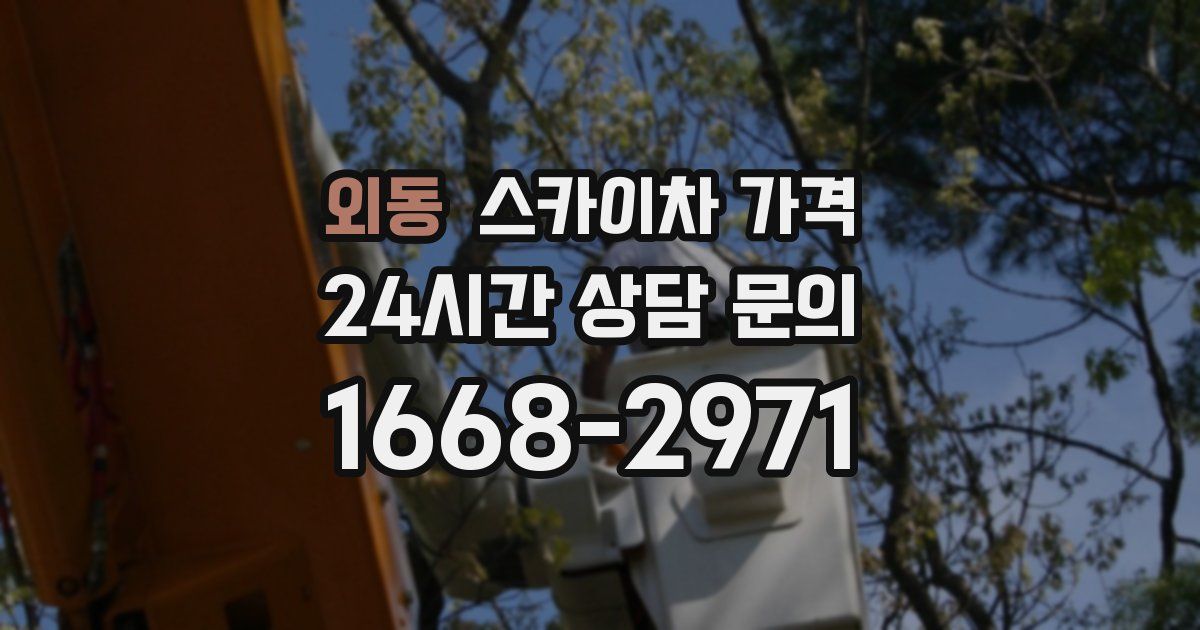 외동 스카이차 가격