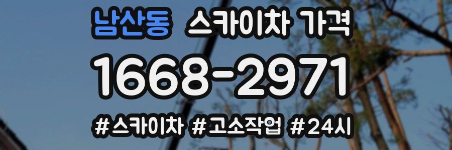 남산동 스카이차 가격