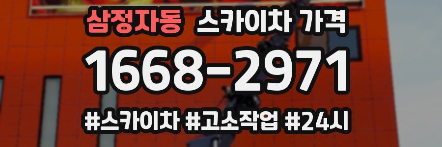 삼정자동 스카이차 가격